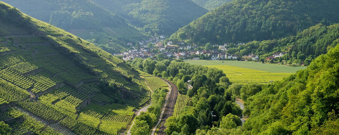 Landschaftsbild Rech